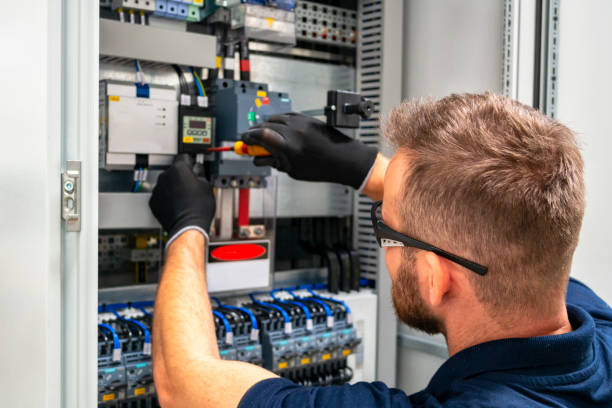 Best Electrical Upgrades for Homes  in Winner, SD